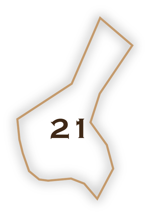 Lot #21
