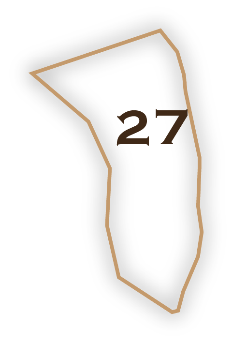 Lot #27